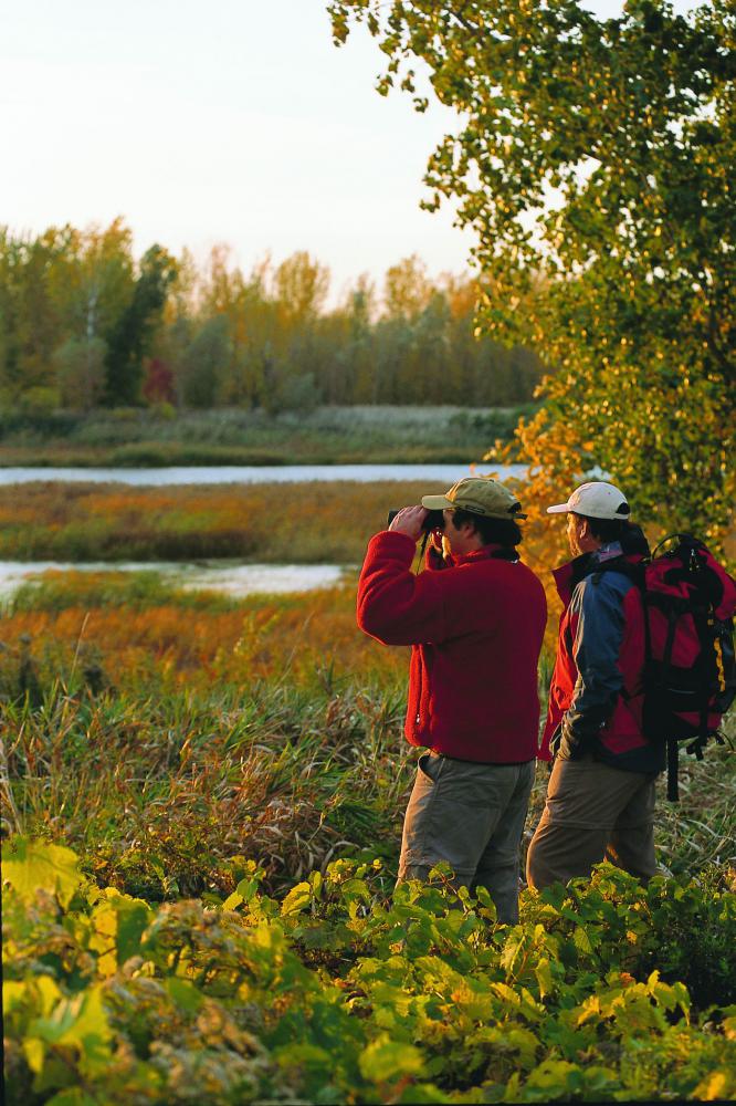 Deux personnes qui observent les animaux au parc